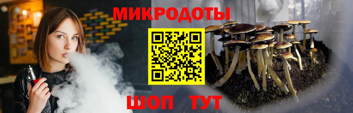 Калининград  Псилоцибиновые грибы мицелий  Вход с VPN 